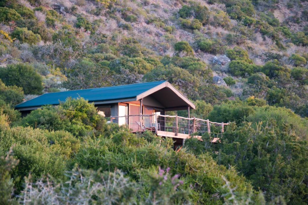 Hillsnek Safari Camp - 阿马卡拉保护区 客房 照片